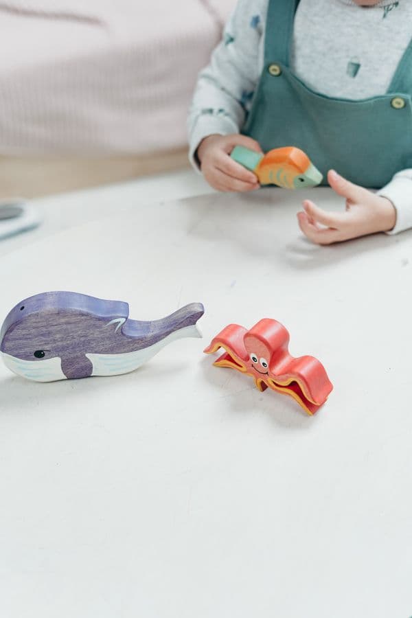 Wooden toys for a children's product range